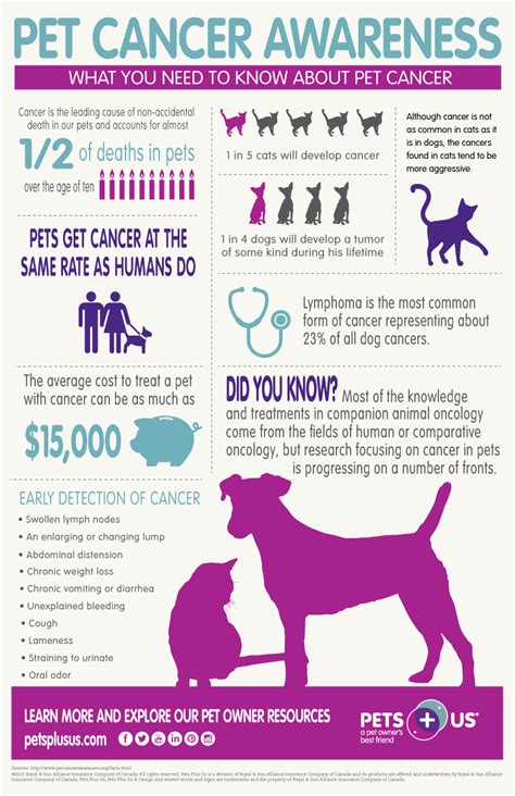 Pet Cancer Infographic Meadow Vista Veterinary Clinic