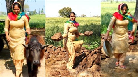 Find out when we open. My Daily Working Routine... Punjab Village Life ( India ...