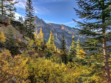 13 Stunning Places To See Fall Colors In Colorado Local Travel