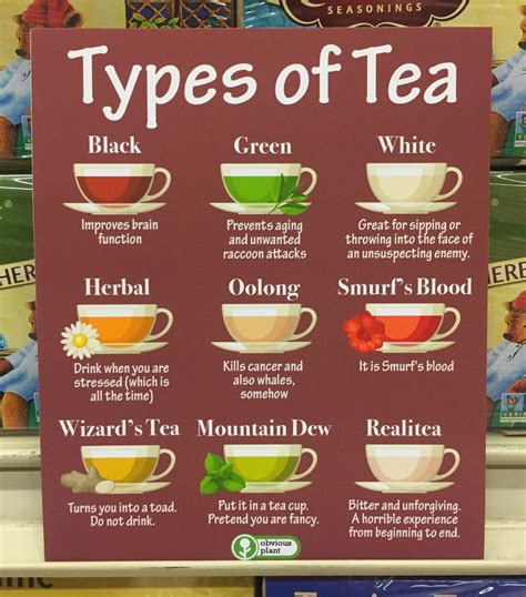 Obvious Plant On Twitter Types Of Tea