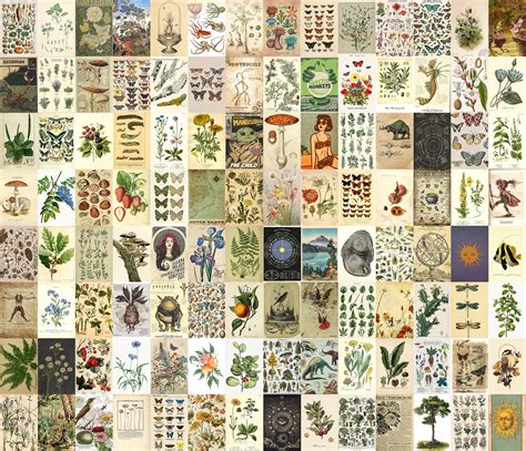 Botanical Vintage Poster Aesthetic Wall Collage Kit 112 Pcs Etsy Canada