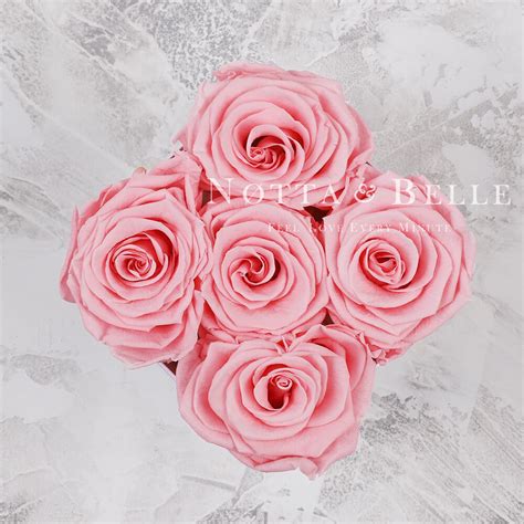 Pink Bouquet Forever Of 5 Roses In A White Mini Box Notta And Belle