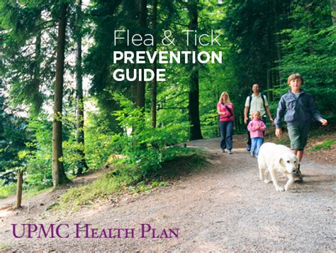 Flea And Tick Prevention Guide Upmc Myhealth Matters