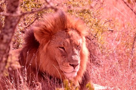 Kenya — Practical English in an Impractical World