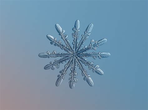 No Two Snowflakes Are Alike And Heres The Proof Pickchur