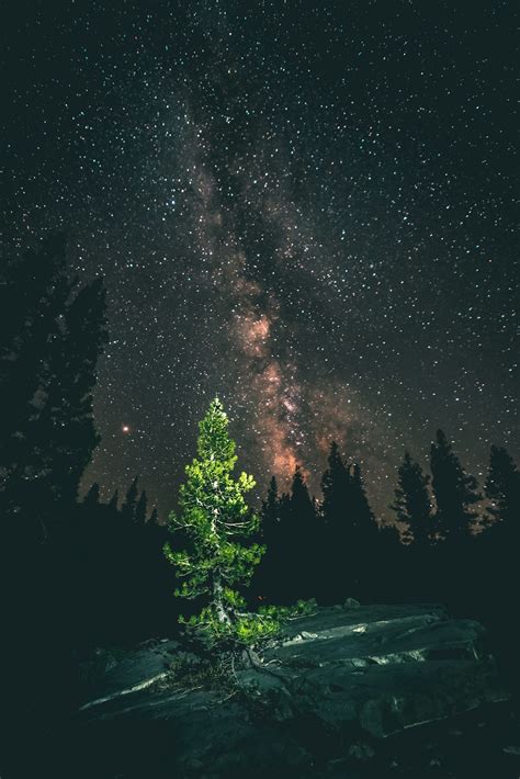 Woods At Night Pictures Download Free Images On Unsplash