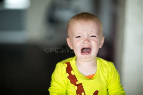 Portrait Of Crying Child Boy Stock Photo Image Of Toddler Angry