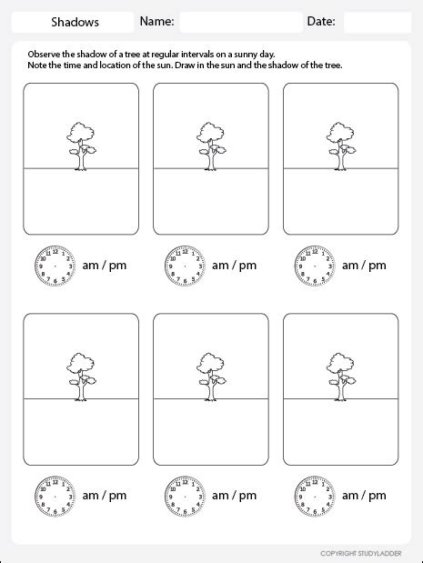 Worksheet Shadows 2nd Grade