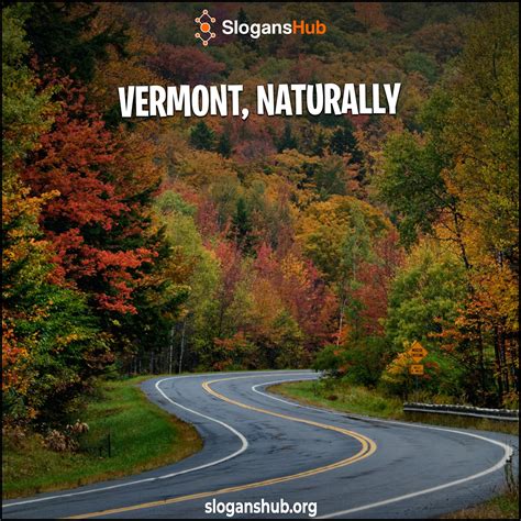 In This Post You Will Find 33 Catchy Vermont State Slogans Vermont