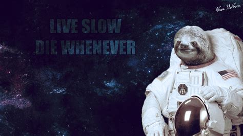 68 Sloth Astronaut Wallpapers On Wallpaperplay