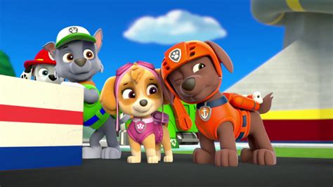 Pups And The Trouble With Turtlestrivia Paw Patrol Wiki Fandom