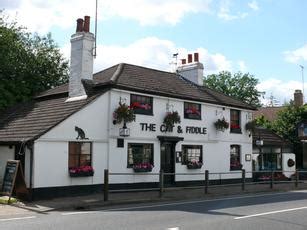 I managed to chance upon cat and the fiddle, saw the fickle feline 2.0 and thought it was the ideal cake to get due to the different flavors and everybody could try all of. Cat and Fiddle, Radlett, Hertfordshire, WD7 7JR - pub ...