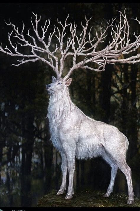 White Stag The Great Prince Mythical Creatures Mythological