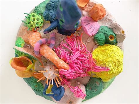 How To Make A Clay Coral Reef Ocean Art Projects For Kids
