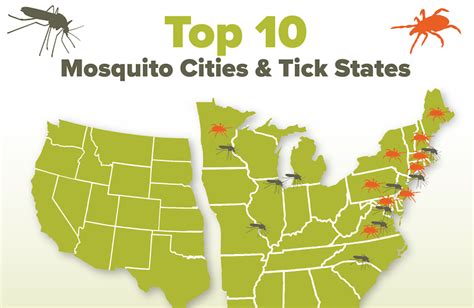 Top 10 Cities And States Pestered By Mosquitoes And Ticks