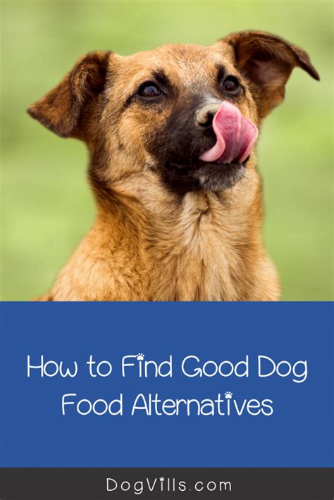 Dog Food Alternatives What To Buy When Your Usual Brand