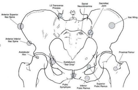These account for approximately 5% to 34% of all. Pelvis Fractures - Pediatric - Pediatrics - Orthobullets