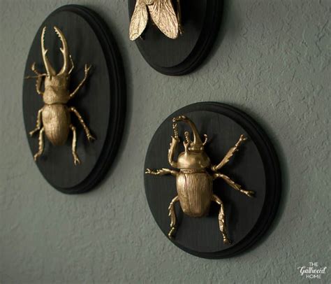 Diy Gilded Insect Faux Taxidermy The Gathered Home Elegant