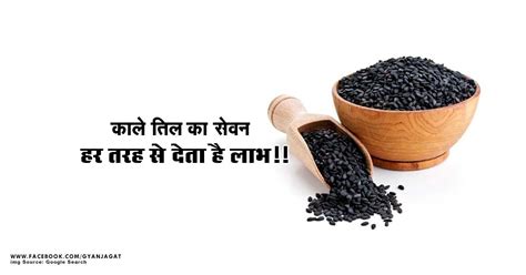 काले तिल के लाभ Black Sesame Seeds Health Benefits In Hindi