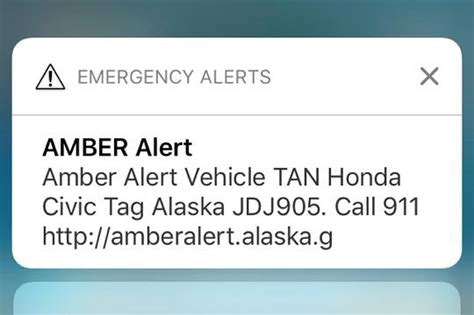 Instead, they can contact law enforcement. This week's Amber Alert was the first test of Alaska's wireless emergency alert system ...