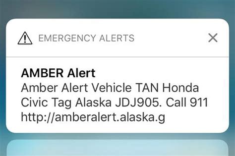 The goal of the amber alert is to locate the abducted child and/or the suspect. This week's Amber Alert was the first test of Alaska's wireless emergency alert system ...