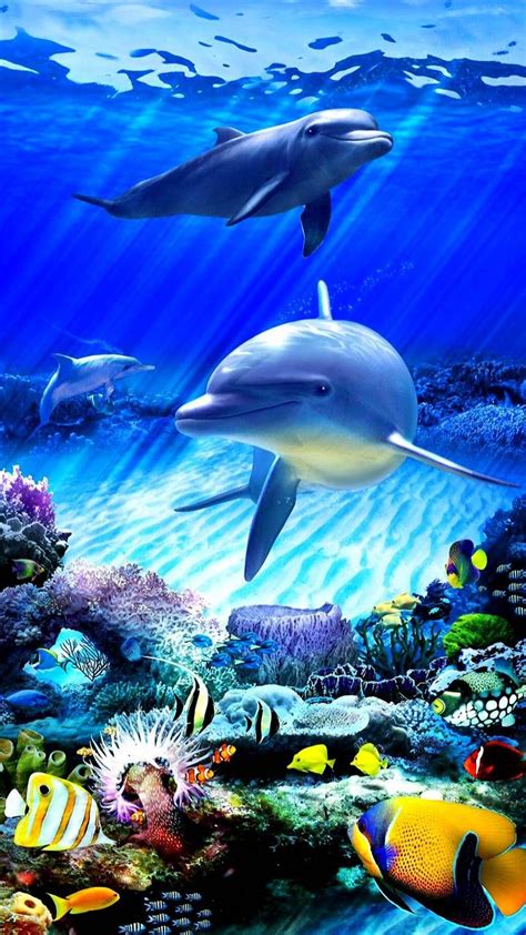 Delfini Criaturas Marinhas Belas Criaturas Golfinhos