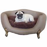 Unique Beds For Dogs