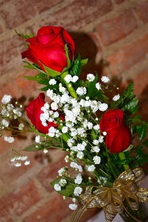 Free Images Blossom Petal Love Red Romance Wedding Flora