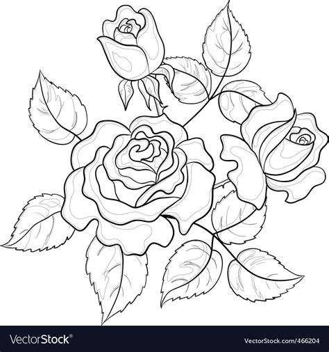 Download Flowers roses contours vector image on VectorStock ...