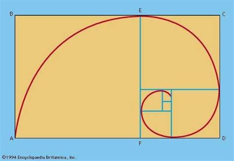 Logarithmic Spiral Mathematics