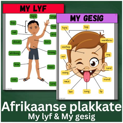 Afrikaanse Plakkate Klaskamer Taal Afrikaans Posters Classroom