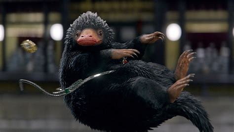 Maybe you would like to learn more about one of these? CINE SE ESTRENA ANTENA 3 TV | El Niffler, la adorable ...