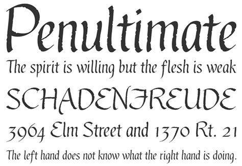 40 Beautiful New Calligraphy Fonts For Designers