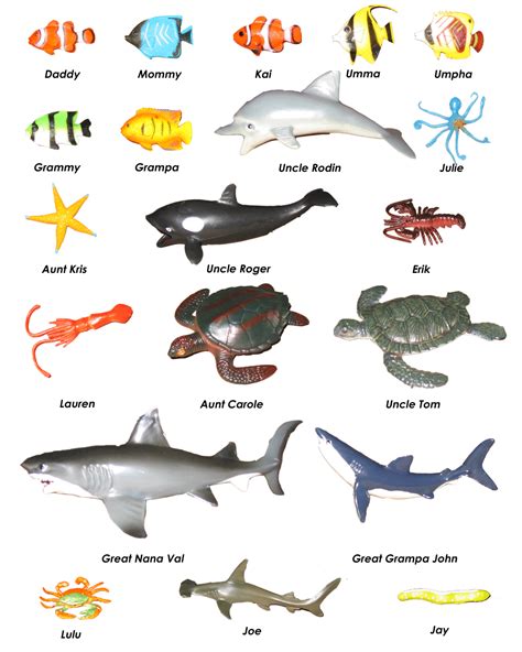 Sea Mammals List Pets Lovers
