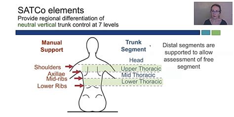Segmental Assessment Of Trunk Control Apply Ebp Llc