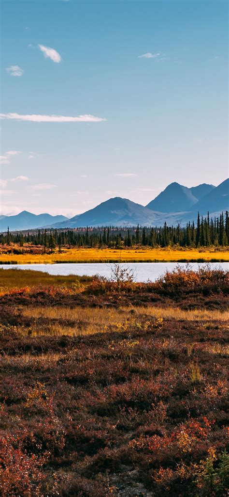 Fondos De Pantalla Alaska Montañas árboles Río Hierba Otoño Usa