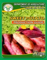 Sweet Potato Pdf Sweet Potato Production Guide Introduction Sweet