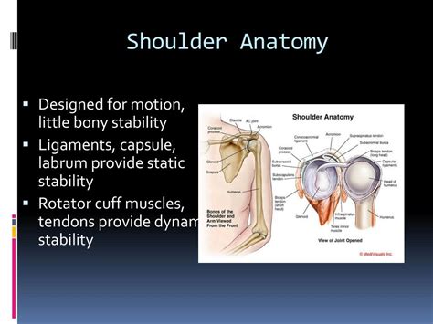 PPT - Skiing and Snowboarding Injury Prevention and Treatment