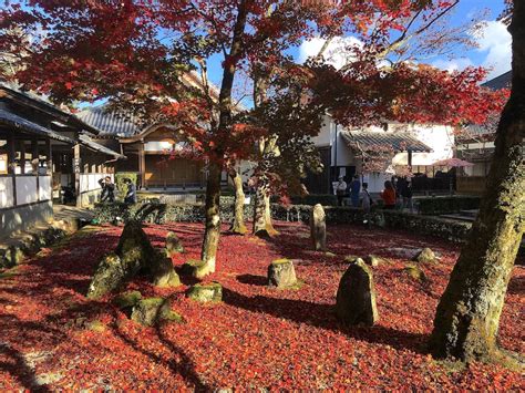 永源寺含空院庭園 ― 滋賀県東近江市の庭園。 庭園情報メディア おにわさん