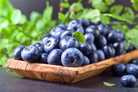 Download Berry Fruit Food Blueberry Hd Wallpaper