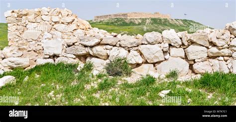 Israeli Fortress And Canaanite City Wall At Tel Arad National Park