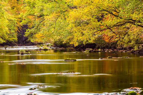 Autumn Landscape Photographs On The River Brathay