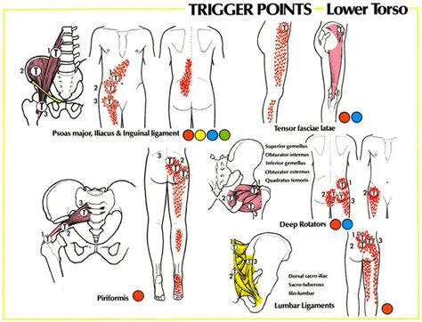 Back pain with radiation into legs. 94 best images about hip and joint pain relief on Pinterest | Si joint, Knee pain and Lower backs