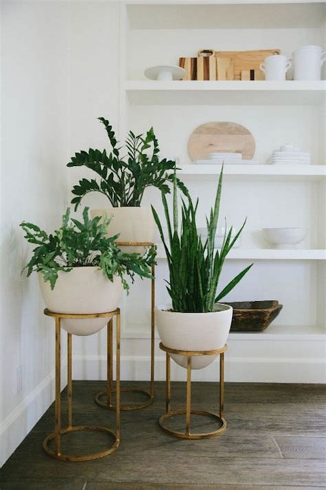 33 Beauty Indoor Plants Decor Ideas For Your Home And Apartment Page