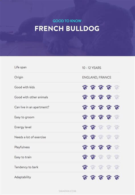 Mini dachshund growth calculator here's a sample of the results you will get. Breed in the spotlight - French Bulldog | King charles ...