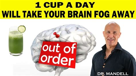 1 Cup A Day Will Take Your Brain Fog Away Dr Alan Mandell Dc