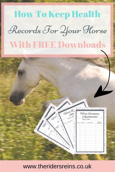 How To Keep Health Records For Your Horse With Free Downloadable