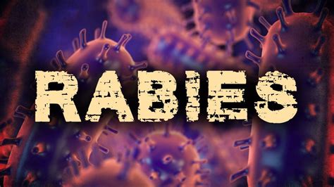 Florida Department Of Health Issues Rabies Alert For Suwannee County