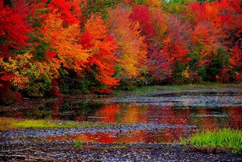 Its A Gorgeous Day Gfts Top 10 Spots To View Fall Foliage In Nj