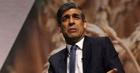 Rishi Sunak Makes Desperate Plea To Farmers Amid Fears Rural Voters Will Desert Tories Mirror